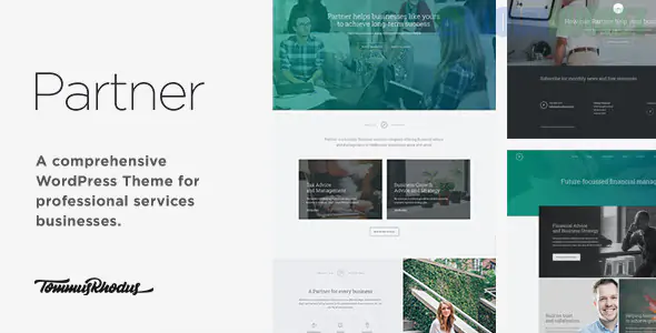 Partner - Accounting and Law Responsive WordPress Theme 1.0.7