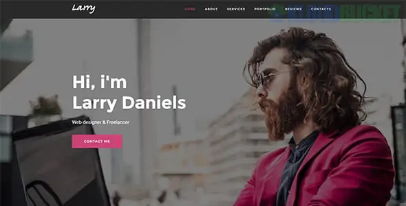 Larry. - Personal Onepage WordPress Theme 1.2.1